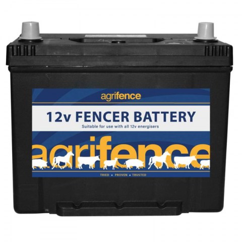 12v Rechargeable Fencer Battery