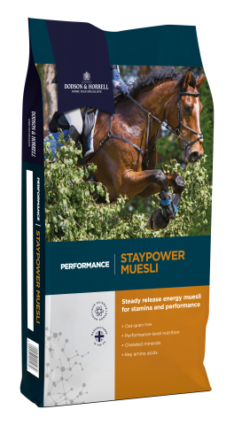 DH_Performance_Staypower_Muesli