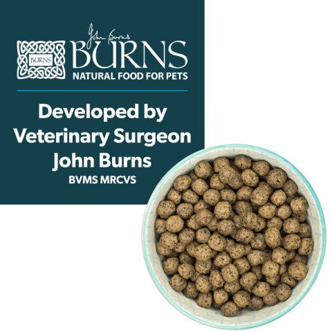 Burns 'Free From' Grain Free Adult