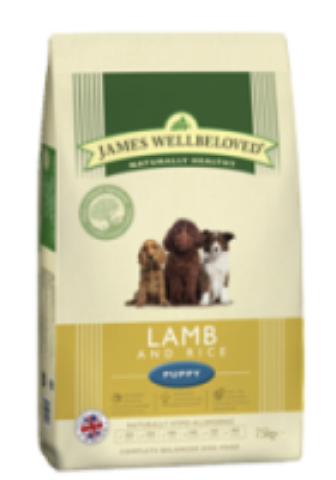 lamb-rice-puppy_large