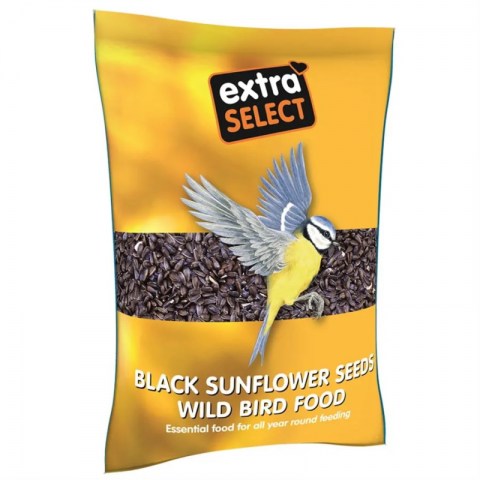 Extra Select Black Sunflower Seed