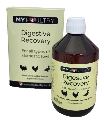 Digestive Recovery
