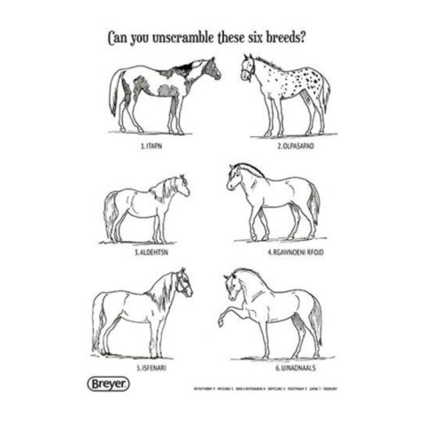 H is for Horse - Colouring Book with Stickers