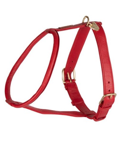Digby & Fox Rolled Leather Dog Harness